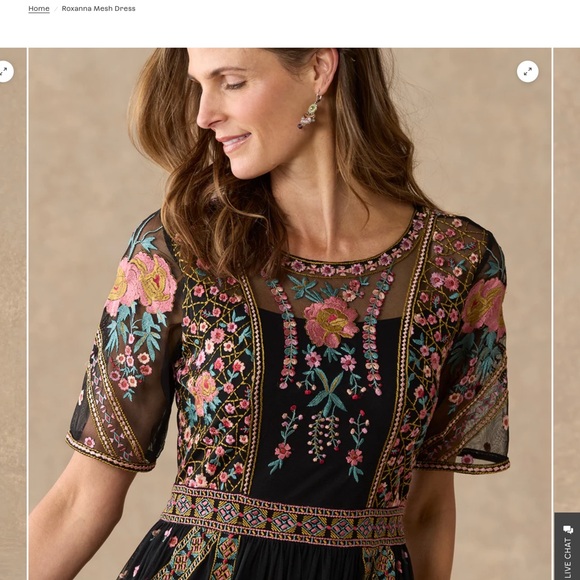 Roxanna Mesh Dress - Picture 5 of 7